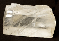 M 00041
          <br/>
          
          <br/>
          <em></em>